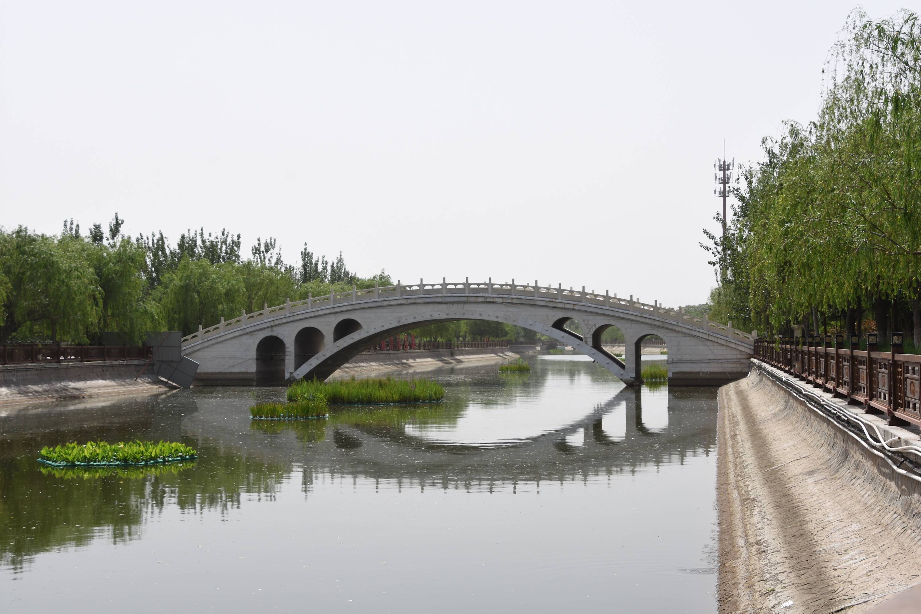 杨柳青青河水清天津西青古运河畔新变化