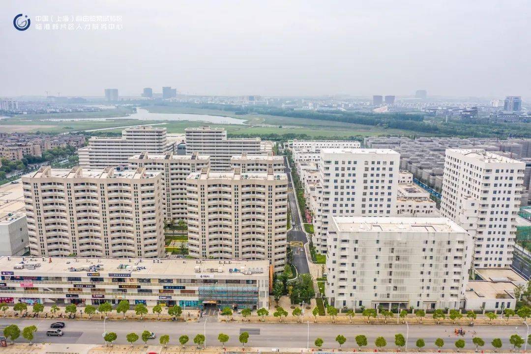 小高层面积35㎡-115㎡.10号地块馨雅铭苑项目临港新片区限价商品住房