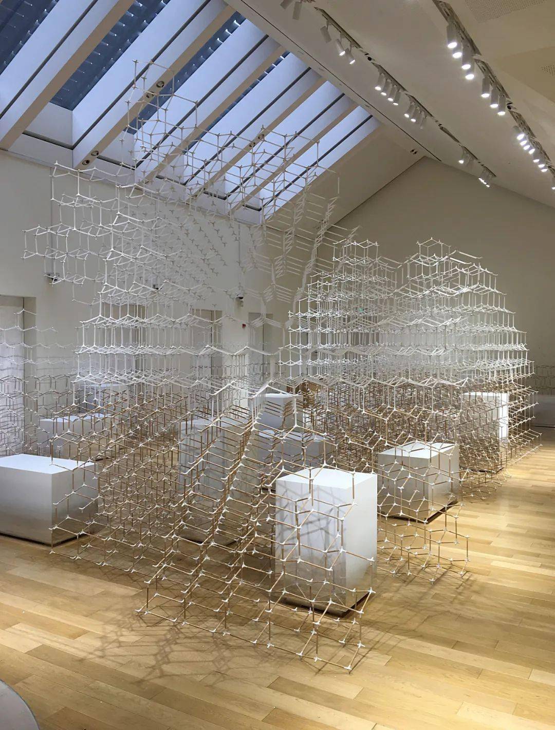 福布斯生活|设计师杨明洁:学会从虚拟世界抽身而出_影响力