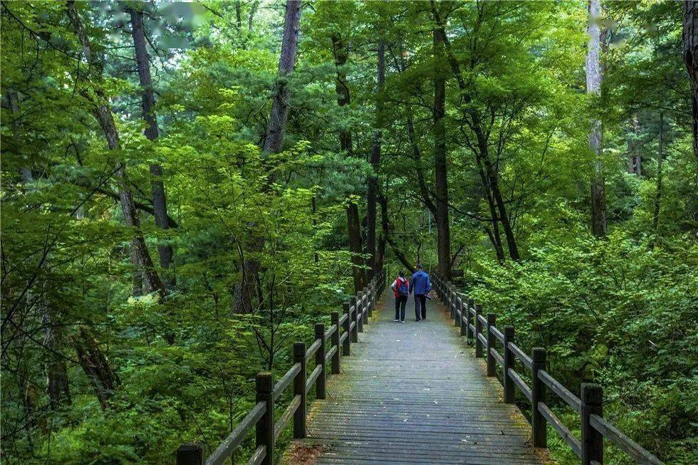 岭秀兴安大美箐山绿染箐山秀美景清凉怡夏享风情