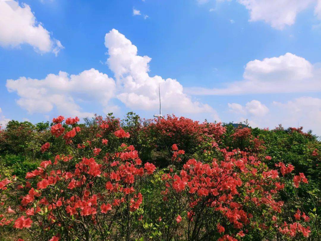 『金开原创』临玉华仙境有感_华山