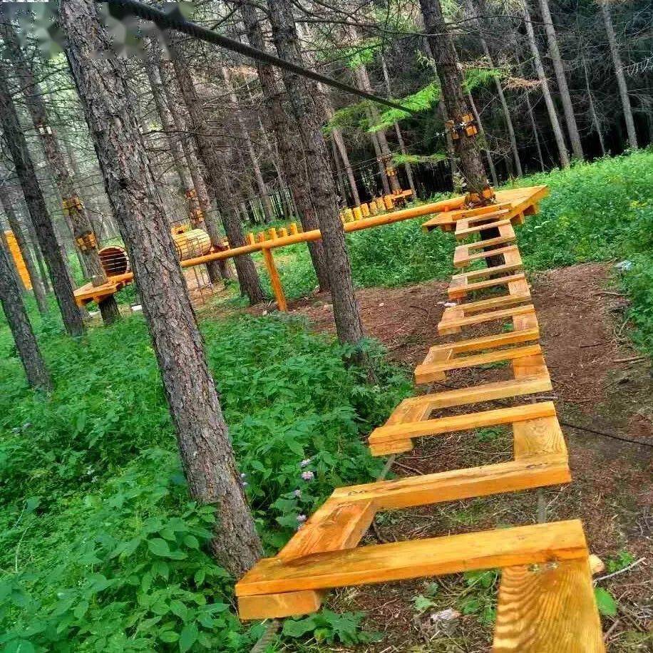非比寻常的自然课堂丨乌苏佛山公园森林环保科普研学基地