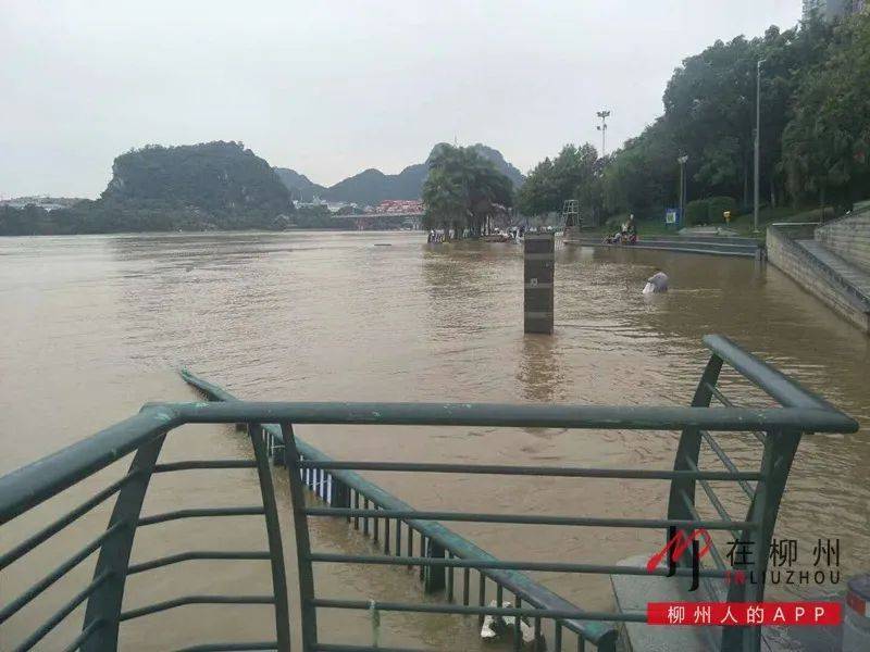 重要提醒暴雨大暴雨特大暴雨柳州今晚開始將迎來新一輪強降雨