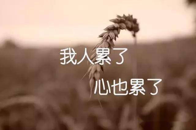 2020最新个性签名送给很累很烦的你