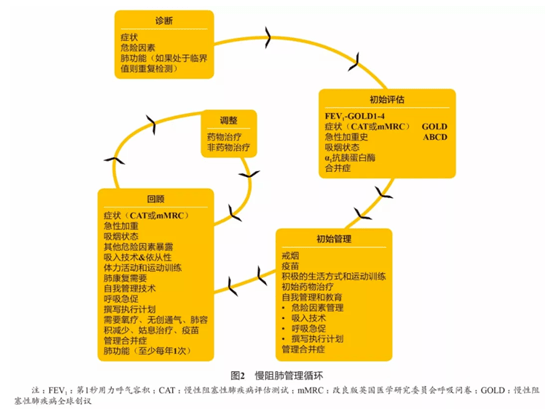 谢俊刚教授:面对"隐形杀手"慢阻肺 我们该如何治疗?