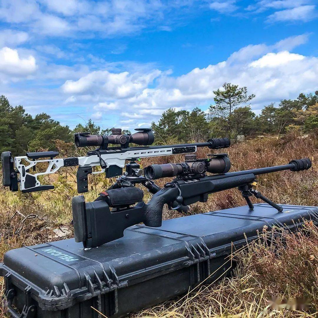 让子弹飞一会儿远程射击枪械图集