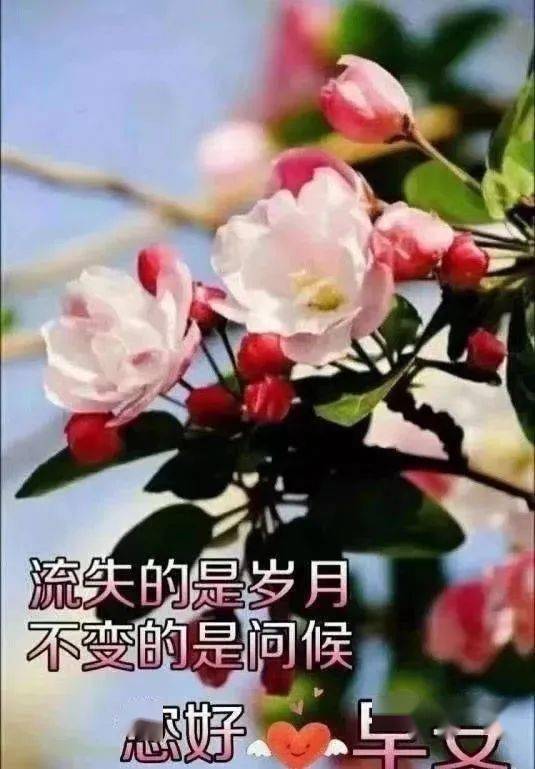 2020早上好最美帶字圖片動態表情,新版朋友早安溫馨問候語