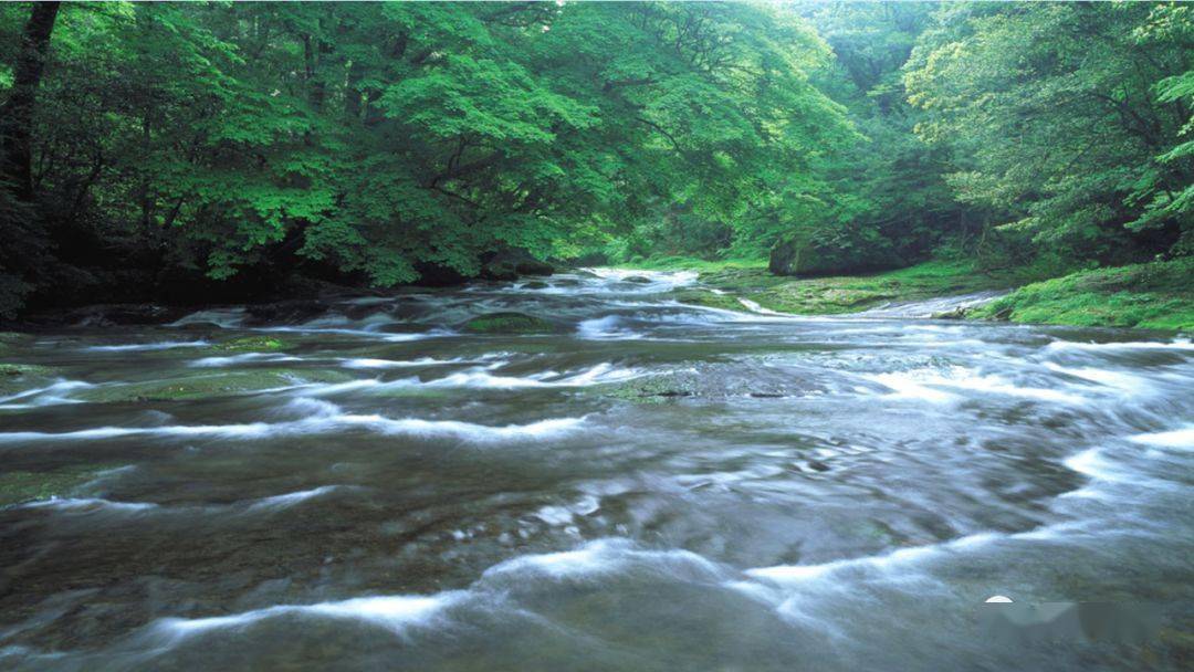 部编版四年级语文下册第17课《记金华的双龙洞》知识点+图文详解