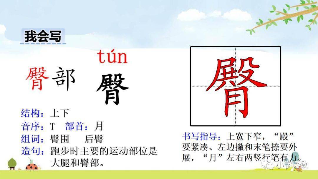 部编版四年级语文下册第17课《记金华的双龙洞》知识点+图文详解