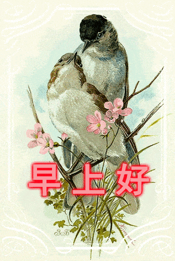 6月最新微信群最美早晨好问候图最新版早上好短信问候祝福语大全