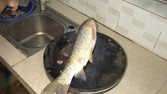 草鱼我家喜欢这样吃酸爽开胃又解馋做一大盆都不够吃