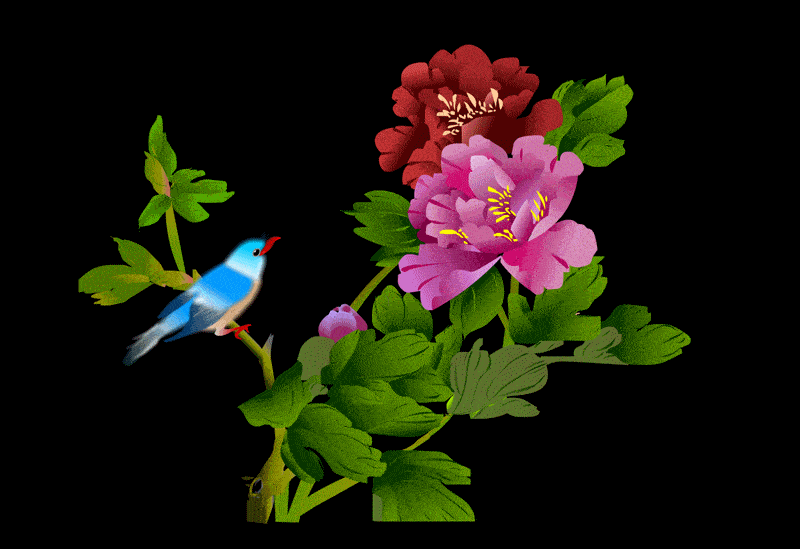 800_549gif 动态图 动图