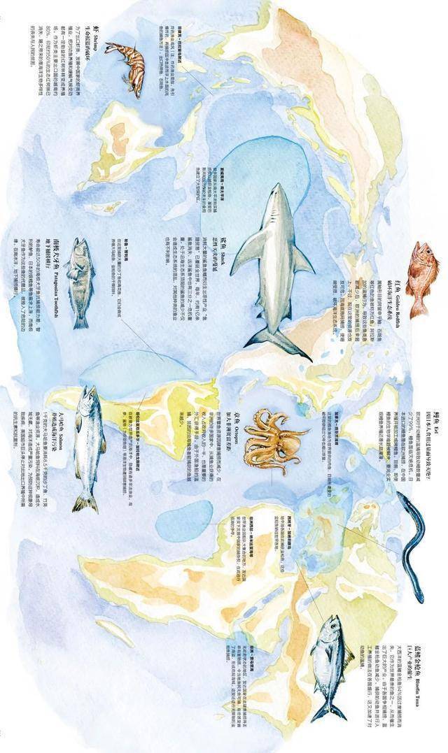 鱼,我所欲也;海,亦我与鱼所依也