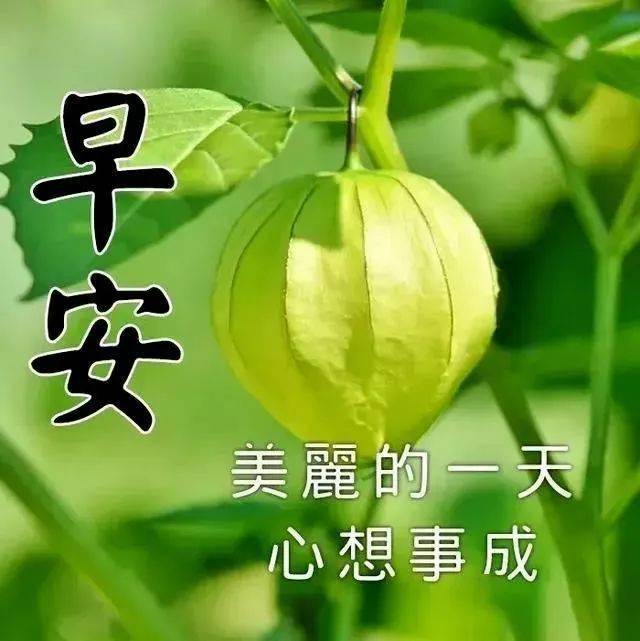 6月8日週一群發早上好問候祝福動態表情圖片 6月最美早晨好問候表情