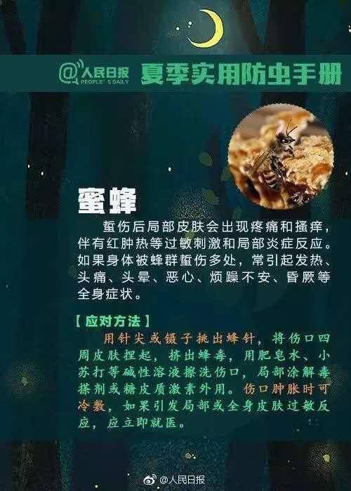 恒耀平台官网女子公交车上突然晕厥,竟是因为被蚂蚁咬了,严重可致休克(图9) 恒耀平台官网女子公交车上突然晕厥,竟是因为被蚂蚁咬了,严重可致休克(图9)