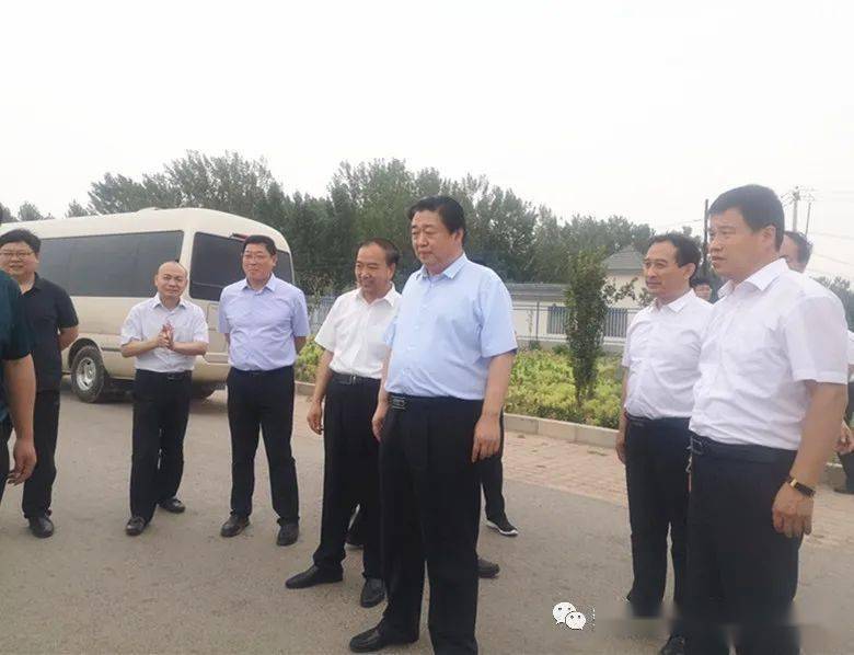 市委常委常务副市长武金良来我县调研