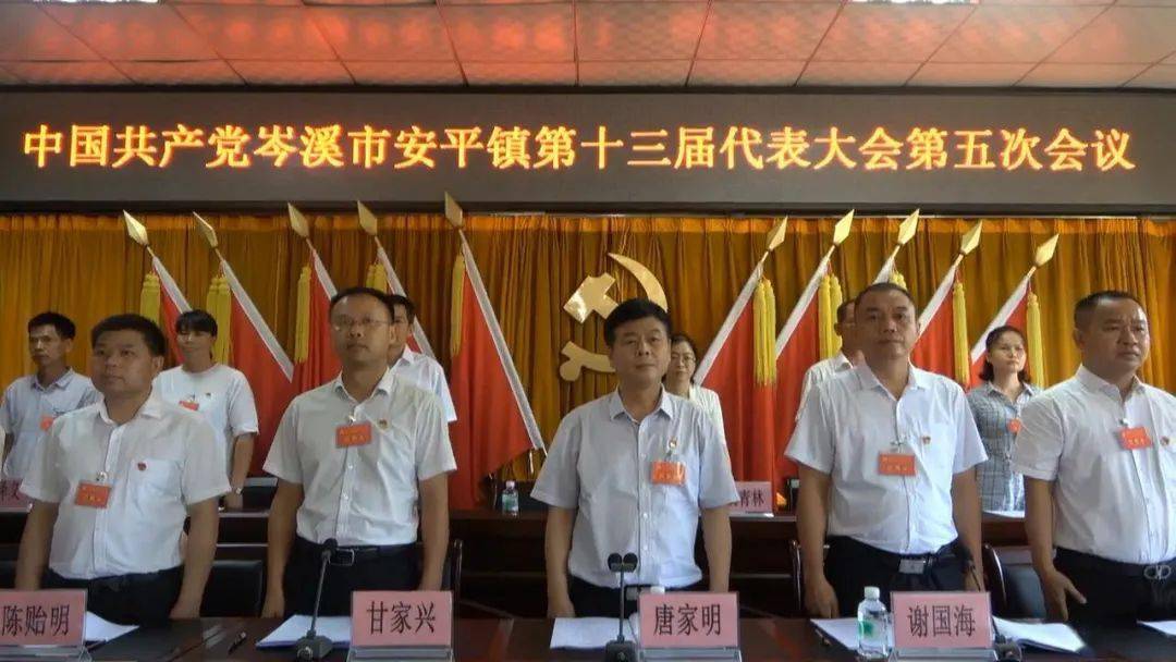【牢记初心使命 勇于担当作为】中共岑溪市安平镇第十三届代表大会第