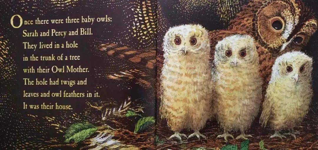 有声绘本故事】《Owl Babies》猫头鹰宝宝_搜狐网