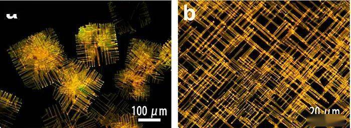 材料jacs封面∣发光有机共晶阵列有机共晶晶体转化外延生长