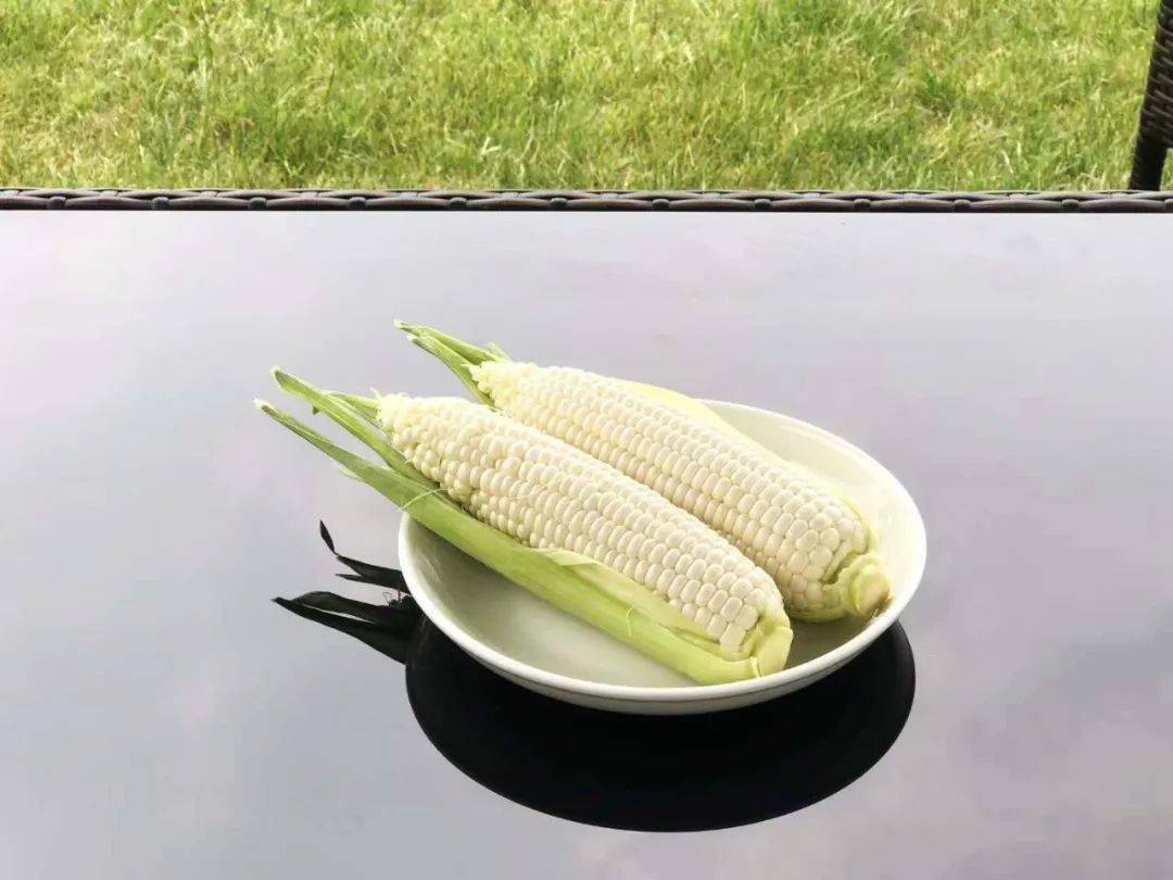 传说中的马铃瓜又要上市了!