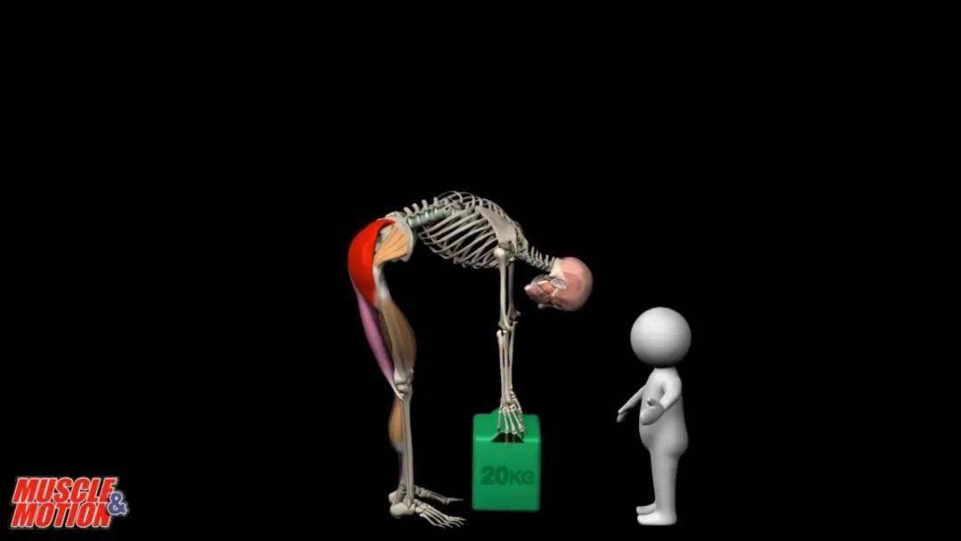 生活中正确搬重物姿势,健身从生活开始