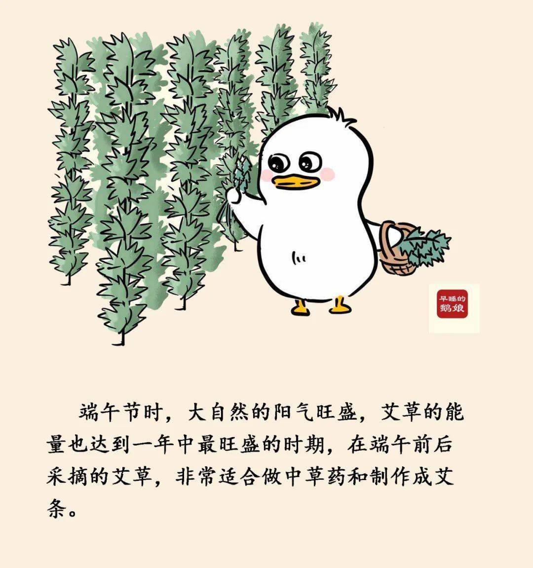 靖晗姐姐讲故事一株超级厉害的艾草