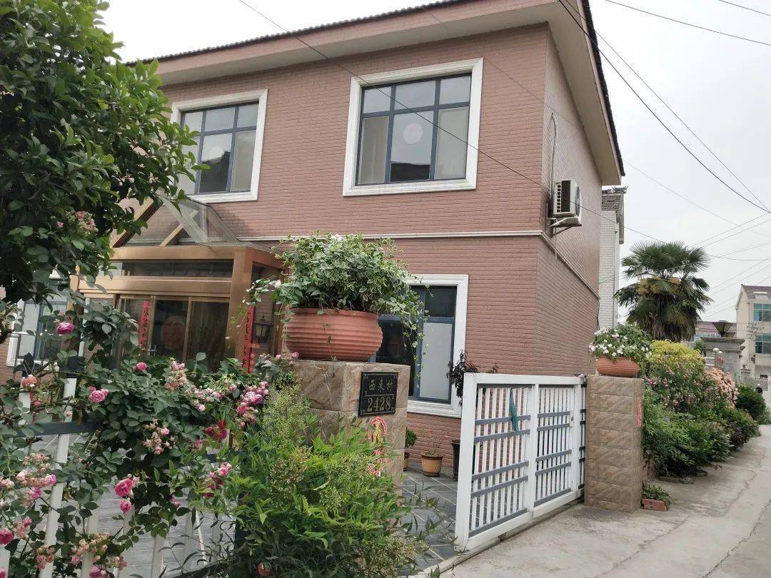 双创双美进行时西来村党群齐发力绘就美丽乡村新画卷