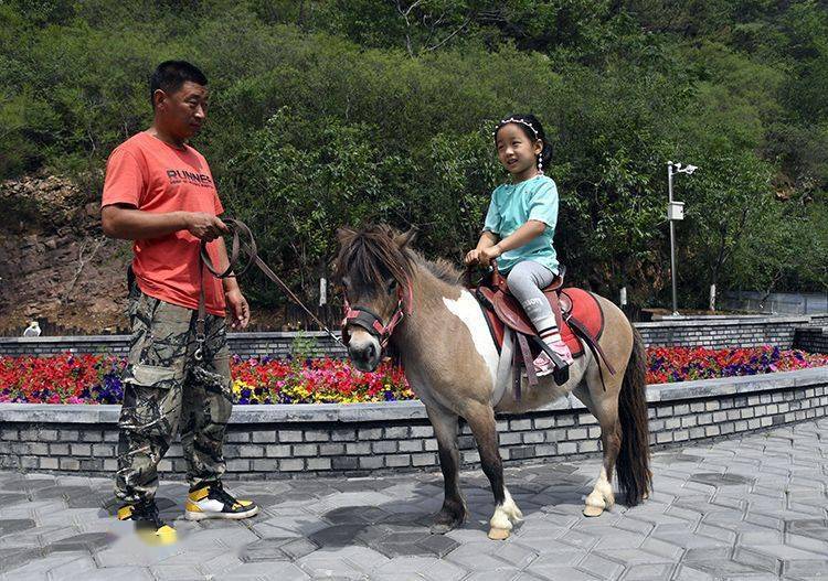 中国骑矮马图片