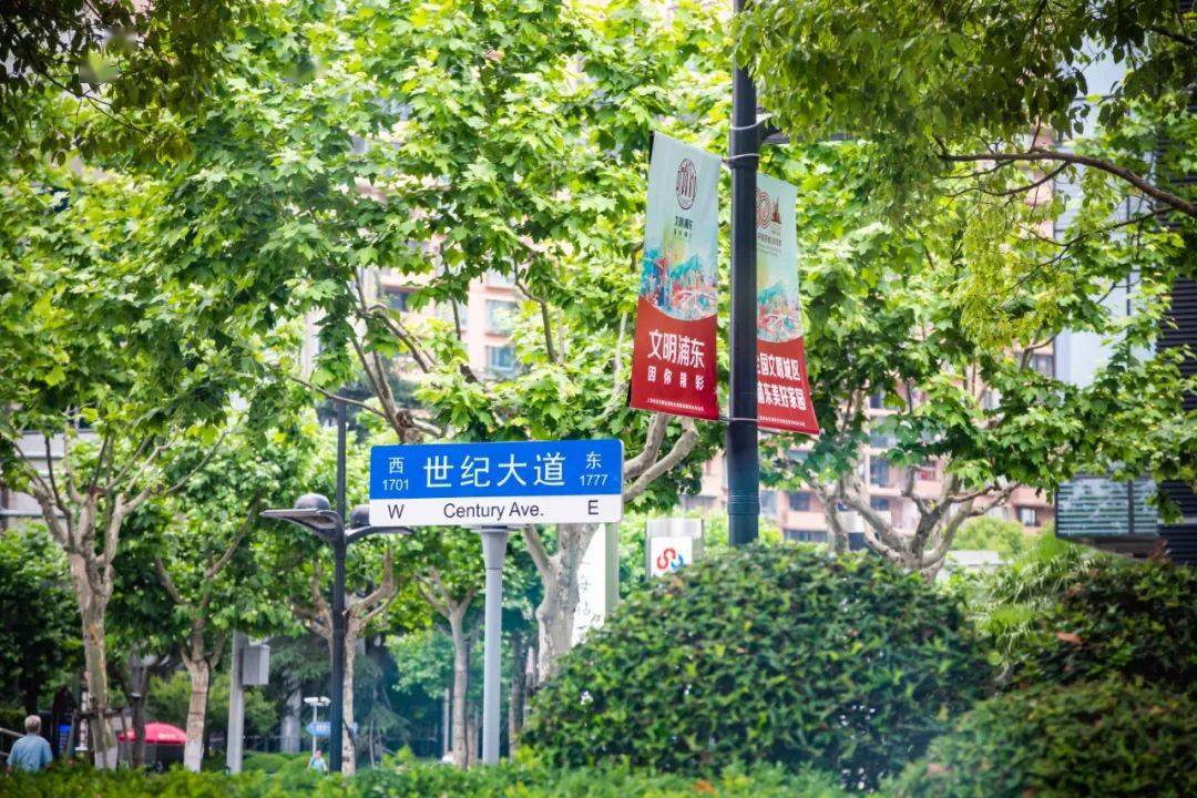 "画框",朝下可以看到中心绿地的绿意盎然,向上可以看到陆家嘴的天际线