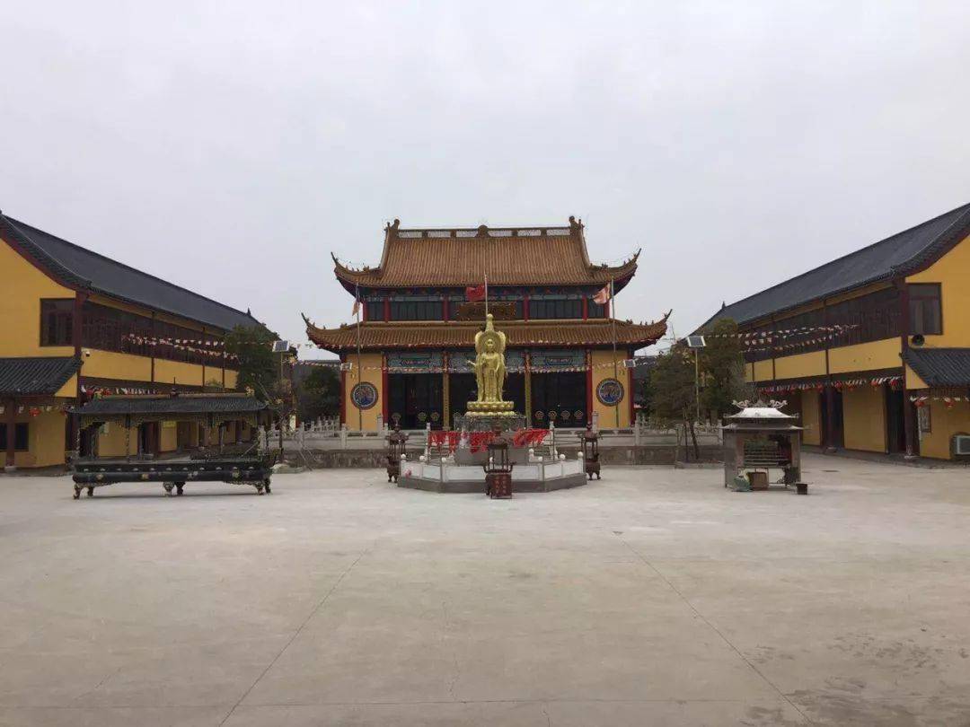 海王禅寺图片