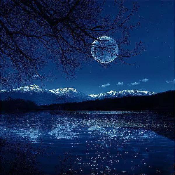 这才是唯美照片的最高境界,美爆了