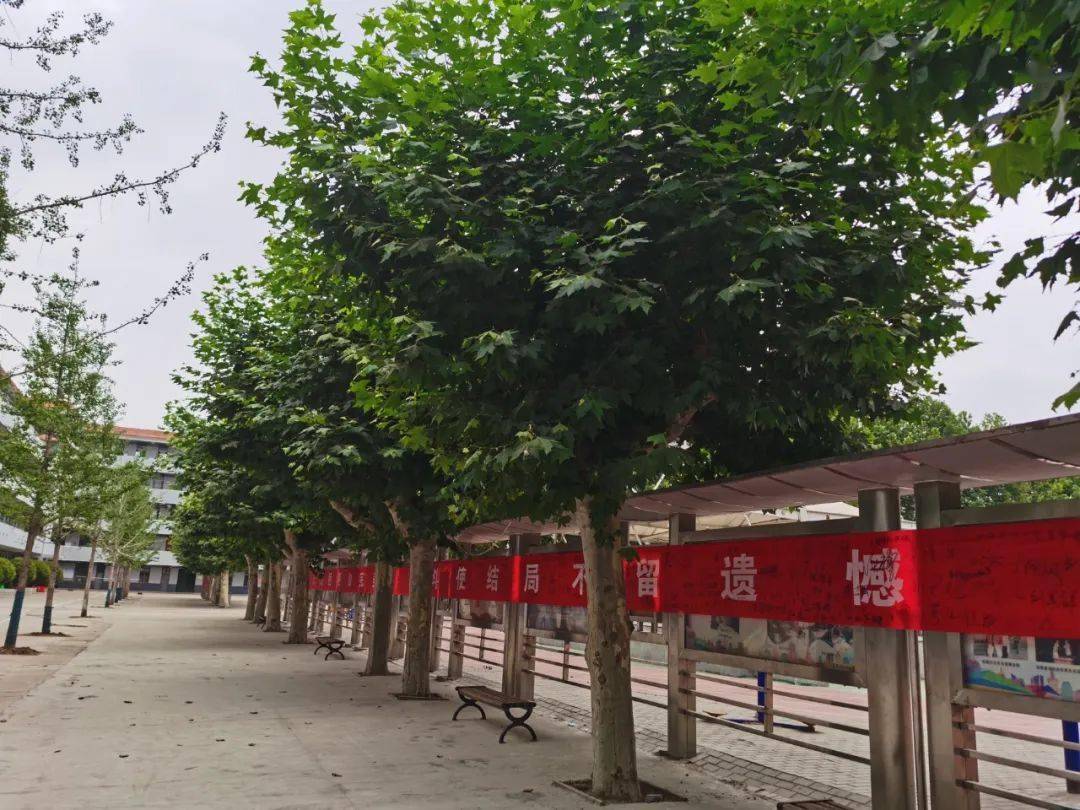 还有28天直击涡阳二中高三励志活动