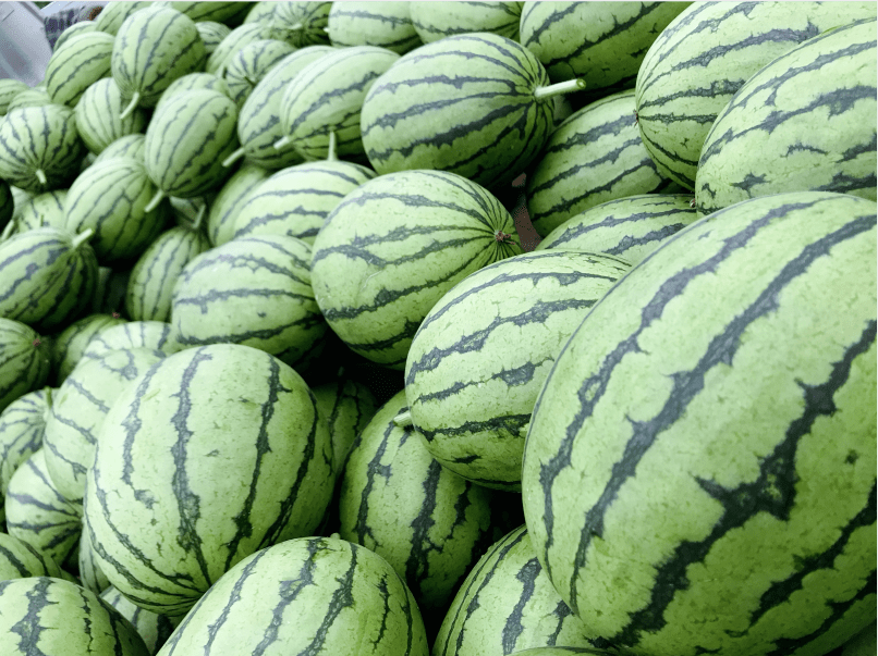 你有空调wifi是不是还差个庞各庄西瓜