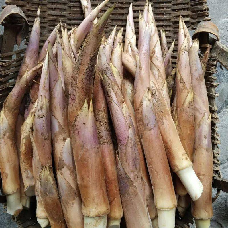 因为它爽口清淡,口感鲜嫩什么材料与鞭笋一搭,就会非常鲜美下面带你来