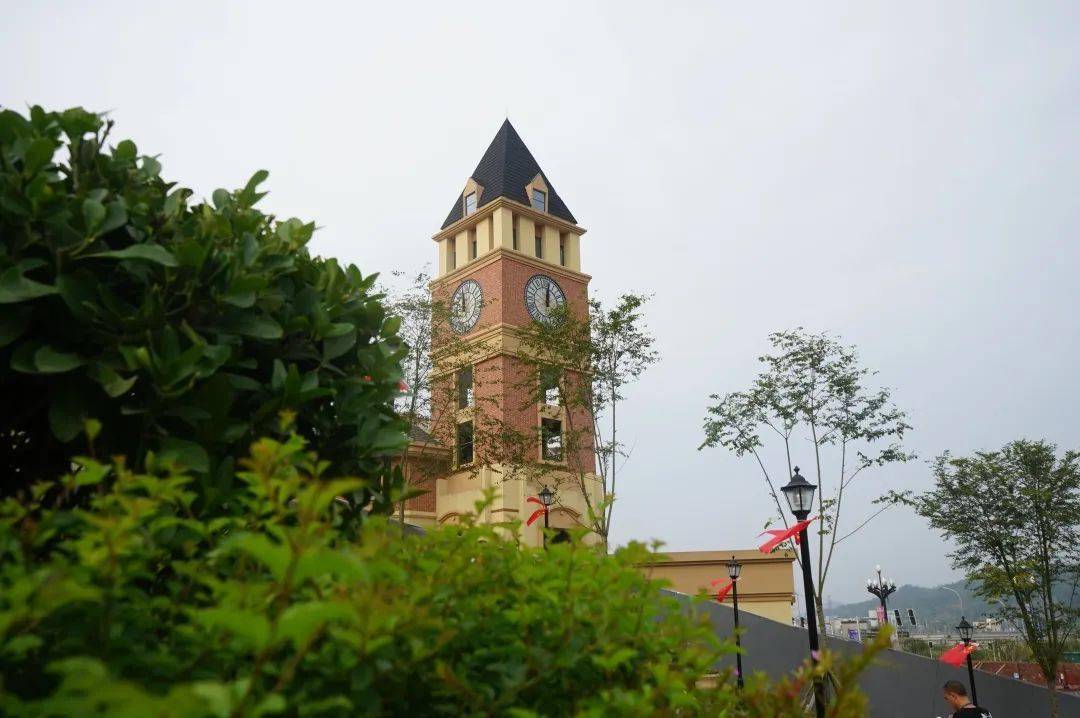 旺苍博骏公学2020年秋季小学,初中,高中招生简章