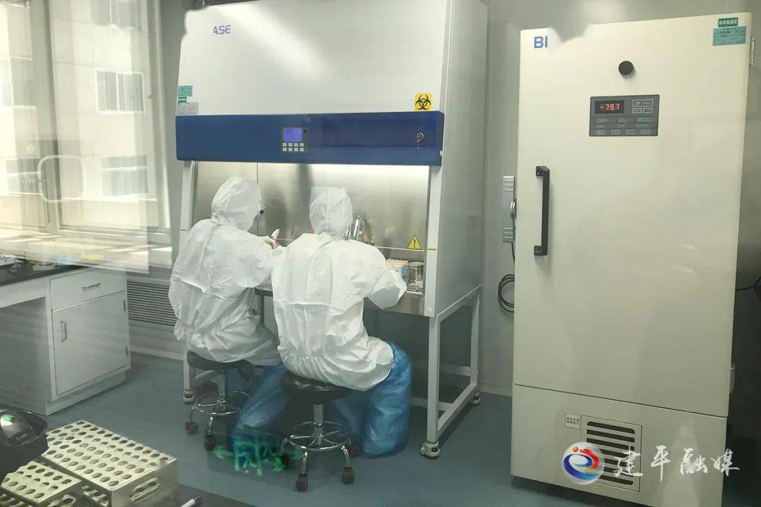 派特生物在生命科学领域引领创新