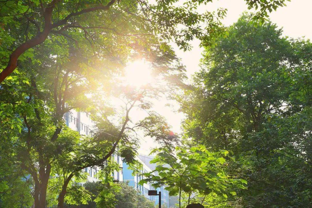 毕业季||想再看一遍的风景