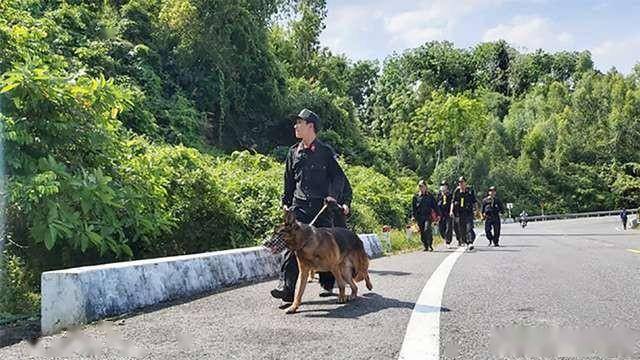 一名叫天沙(音译)的记者曾经说了在追捕逃犯的过程中有一只警犬牺牲了