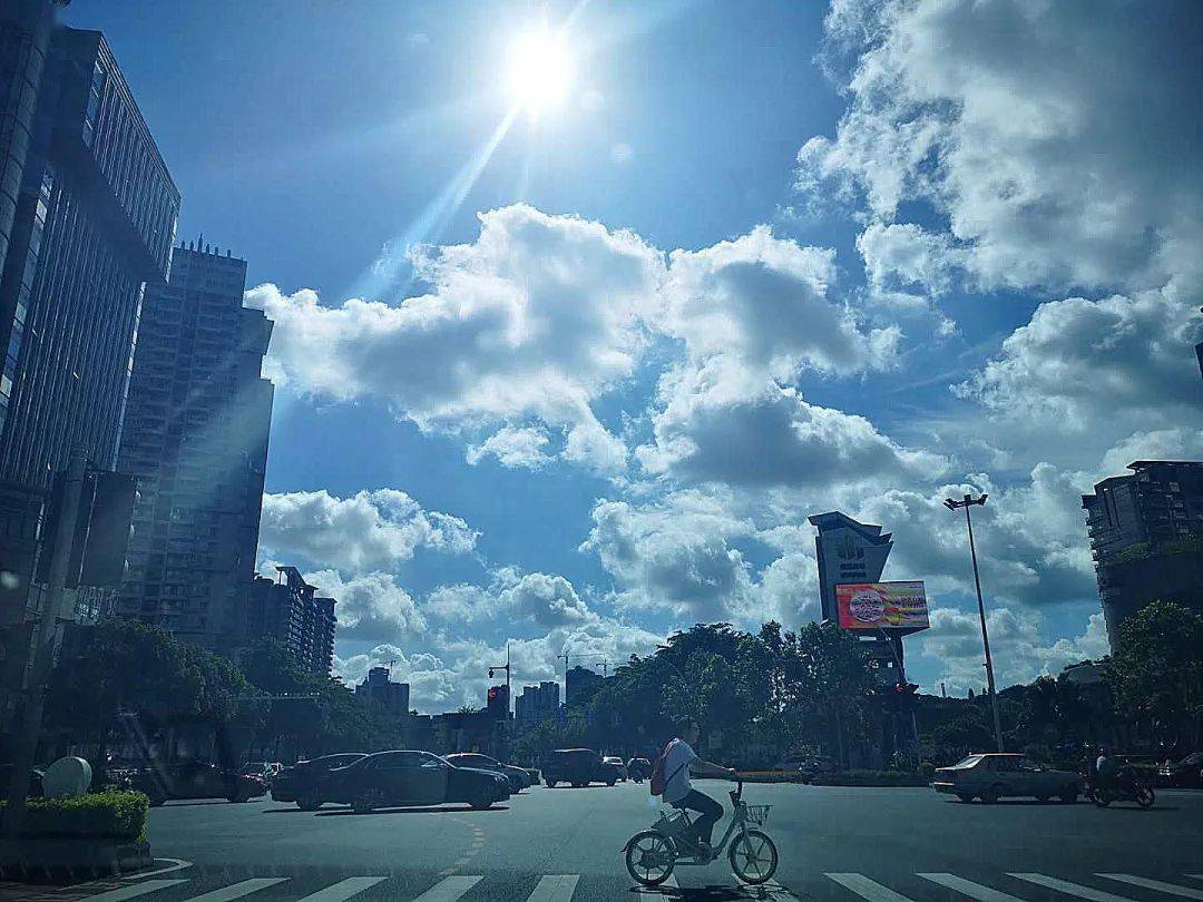 阳光灿烂的今天  记者 曾嘉慧 摄 看着这烈日当空, 你在想什么呢?