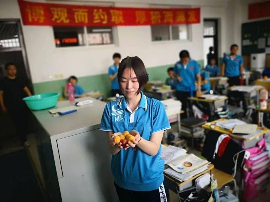 杏福满满采摘忙石家庄一中东校区高三年级组织采摘活动