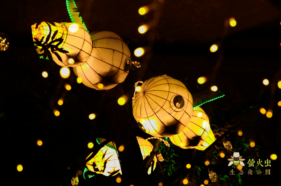 自然,美岕山野温泉度假村让这个夏天,把儿时记忆中的萤火虫带到你眼前