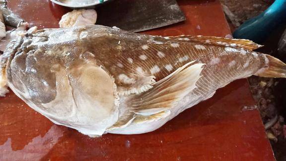 尿骚味的鱼却是美味中的美味但很多人做这鱼锅都想扔掉了