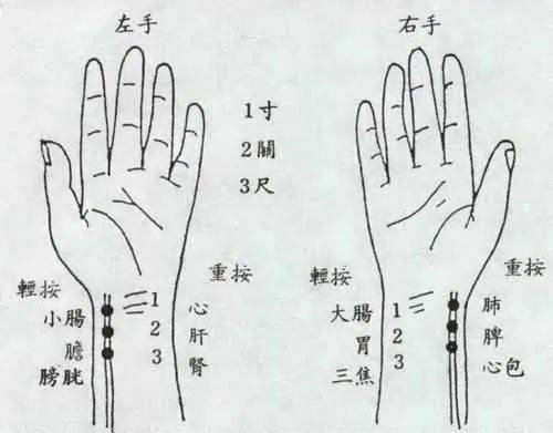 五行与手指的关系图图片