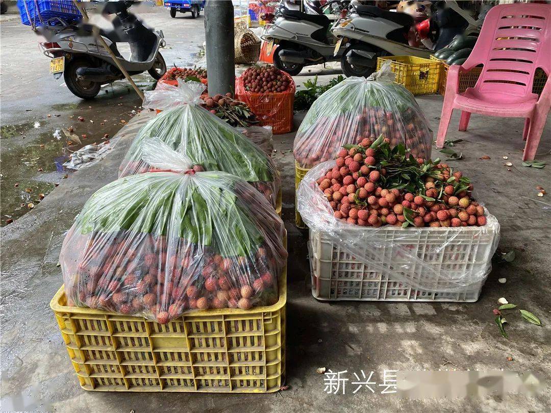 你今年吃过新兴香荔未?去年贵到吃不起,今年情况是