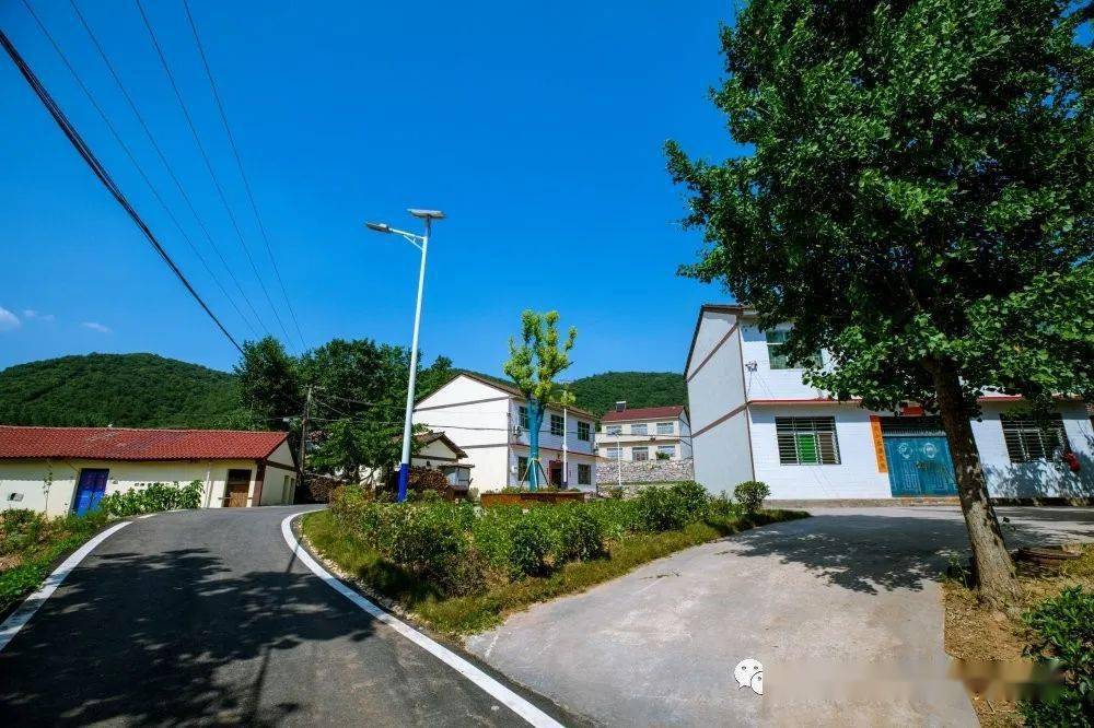 推进"美丽乡村"建设 助力乡村振兴战略_长坪镇