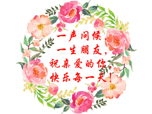 难忘同学情2020老同学图册献给我的老同学