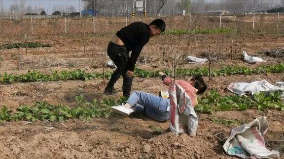 小夫妻地理干活一言不合就打架儿媳去找婆婆评理婆婆说管不了