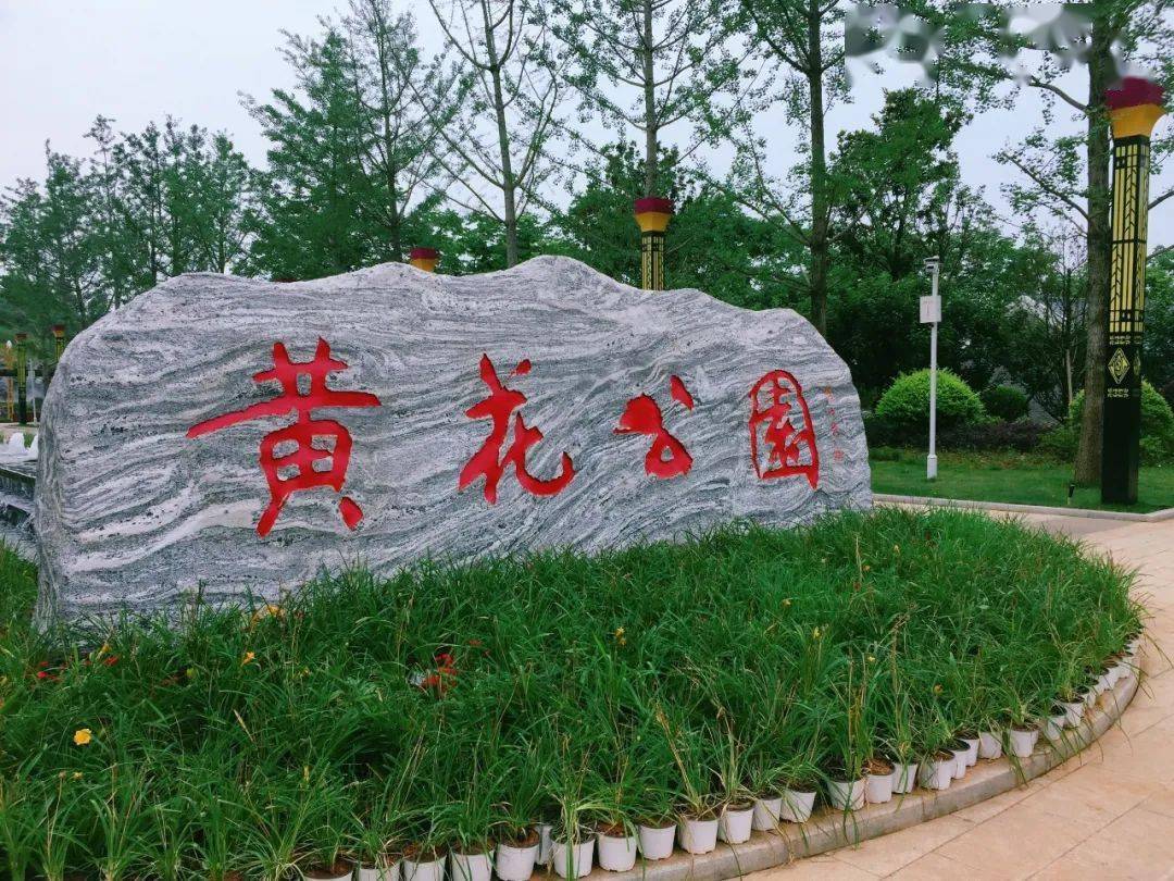 品味祁东第二期黄花公园话黄花