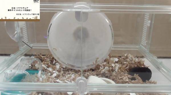 日本一公开神秘新作线索 或暗示《魔界战记6》_仓鼠