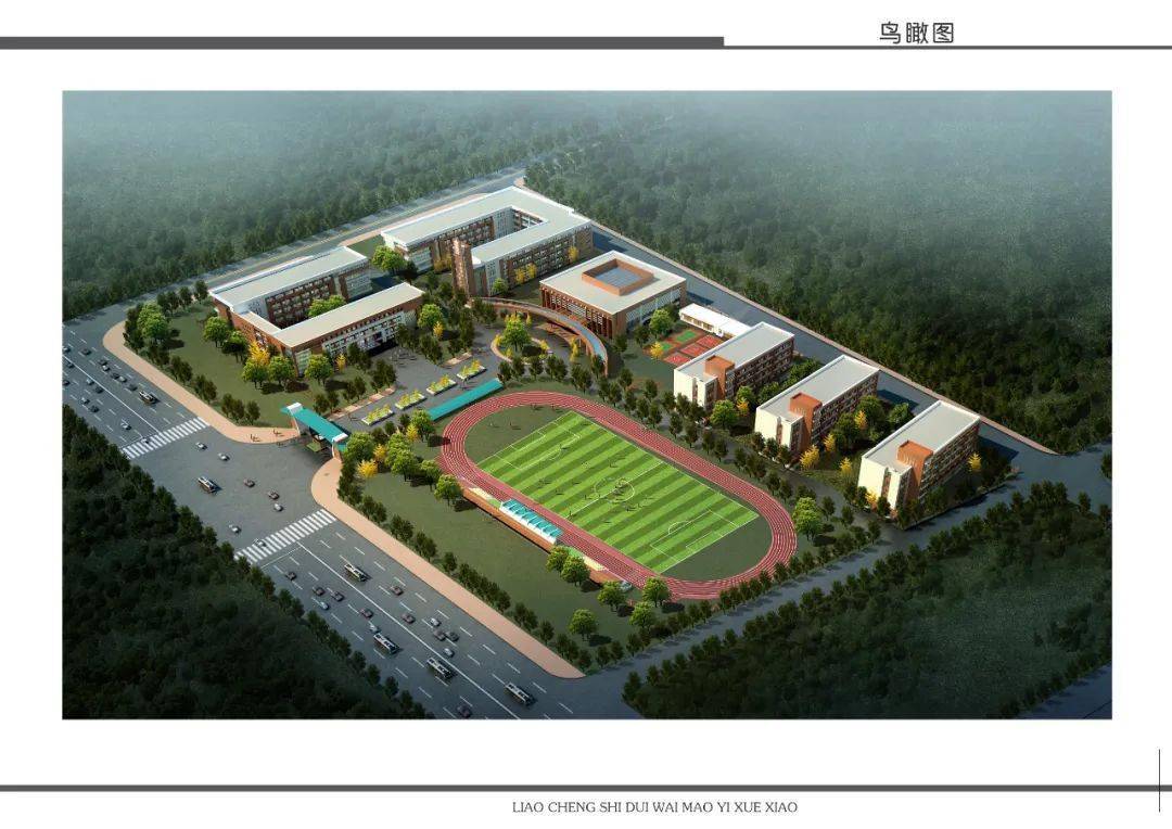 厚植普职优势成就孩子未来记蓬勃发展中的聊城育才学校